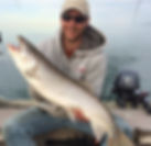 14591735_1061178224001420_8575834104997178690_n_edited